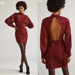Anthropologie | Not So Serious by Pallavi Mohan Lace Mini Dress Plus Size 16W